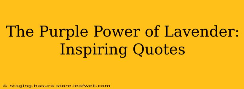 The Purple Power of Lavender: Inspiring Quotes