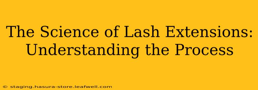 The Science of Lash Extensions: Understanding the Process