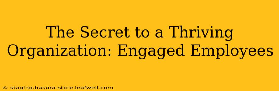 The Secret to a Thriving Organization: Engaged Employees