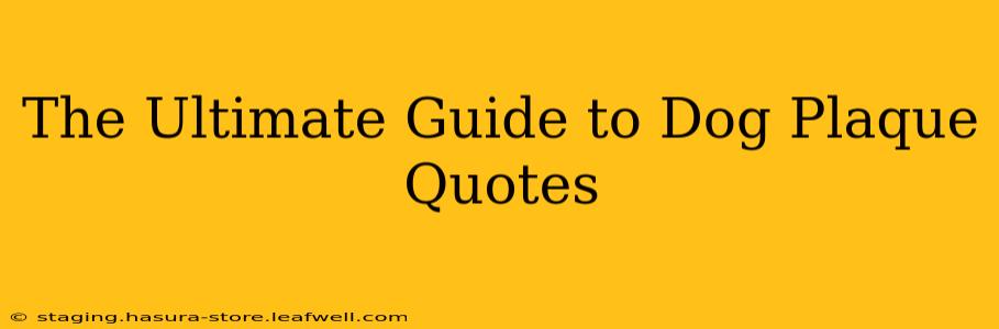 The Ultimate Guide to Dog Plaque Quotes