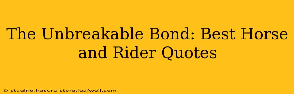 The Unbreakable Bond: Best Horse and Rider Quotes