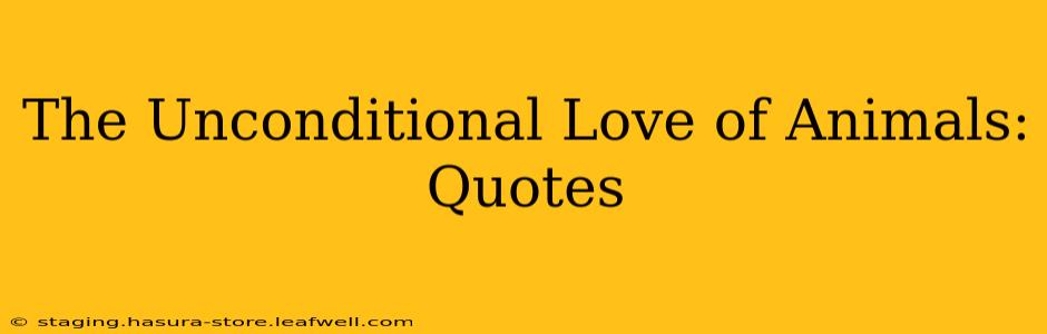 The Unconditional Love of Animals: Quotes
