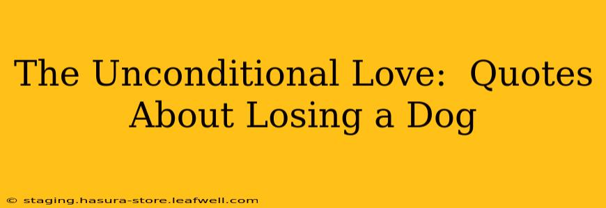 The Unconditional Love:  Quotes About Losing a Dog