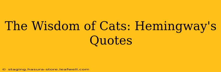 The Wisdom of Cats: Hemingway's Quotes