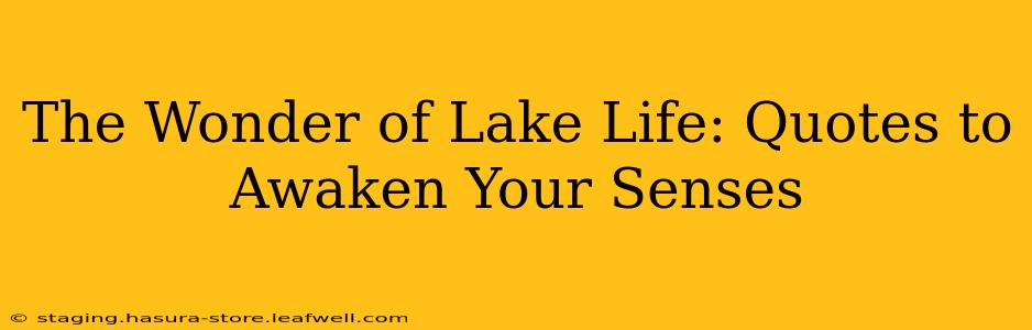 The Wonder of Lake Life: Quotes to Awaken Your Senses