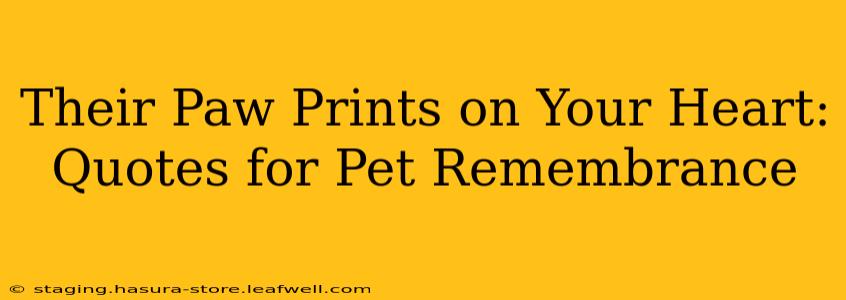 Their Paw Prints on Your Heart: Quotes for Pet Remembrance
