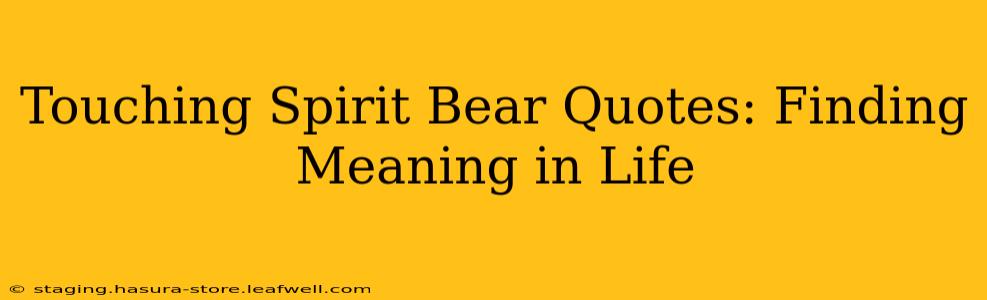 Touching Spirit Bear Quotes: Finding Meaning in Life