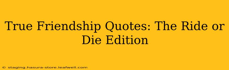 True Friendship Quotes: The Ride or Die Edition