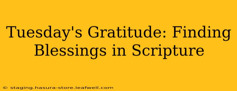 Tuesday's Gratitude: Finding Blessings in Scripture
