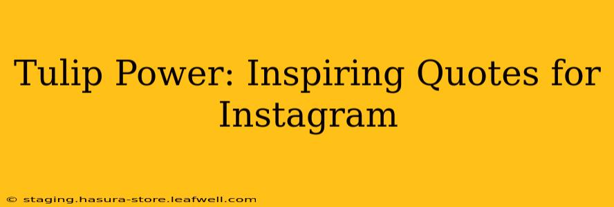 Tulip Power: Inspiring Quotes for Instagram