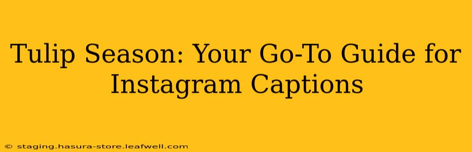 Tulip Season: Your Go-To Guide for Instagram Captions