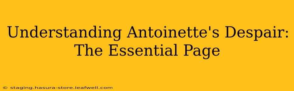 Understanding Antoinette's Despair: The Essential Page