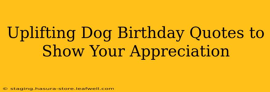 Uplifting Dog Birthday Quotes to Show Your Appreciation