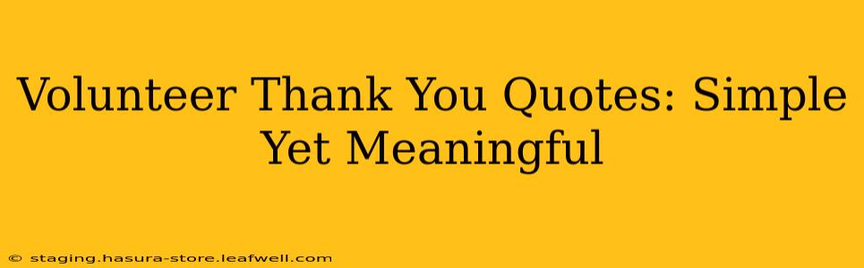 Volunteer Thank You Quotes: Simple Yet Meaningful