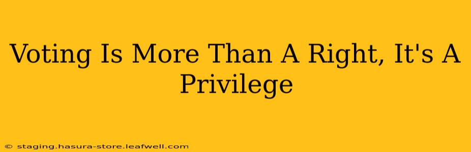 Voting Is More Than A Right, It's A Privilege