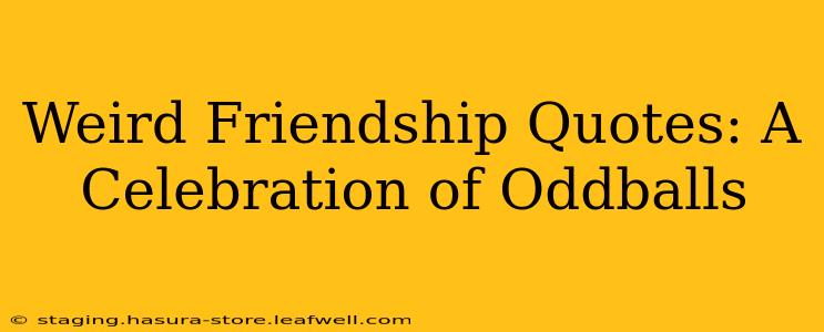 Weird Friendship Quotes: A Celebration of Oddballs