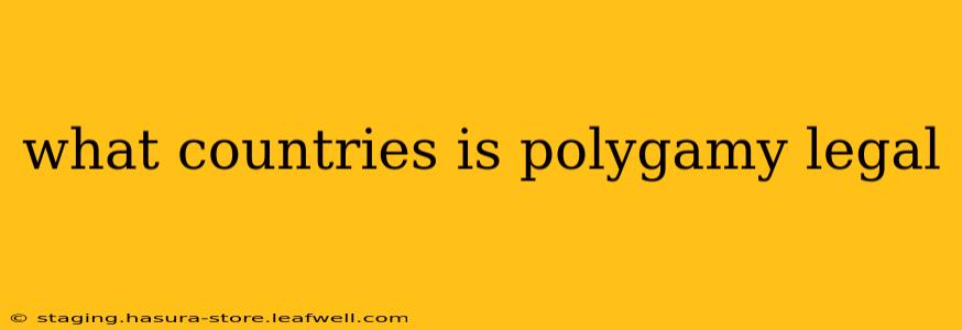 what countries is polygamy legal