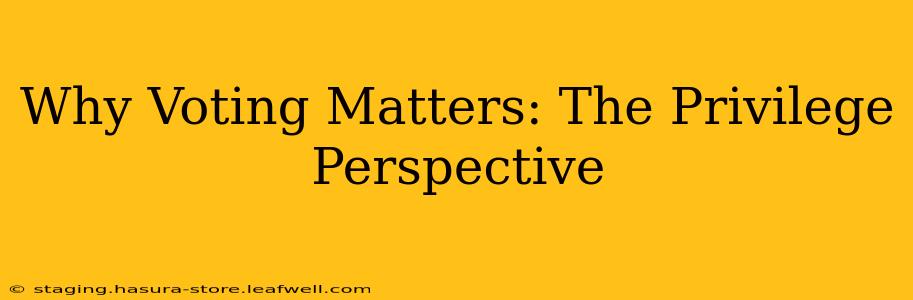 Why Voting Matters: The Privilege Perspective