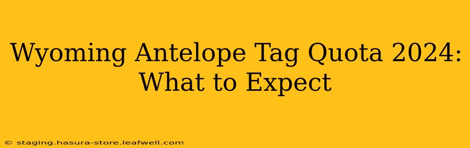Wyoming Antelope Tag Quota 2024: What to Expect