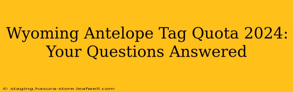 Wyoming Antelope Tag Quota 2024: Your Questions Answered