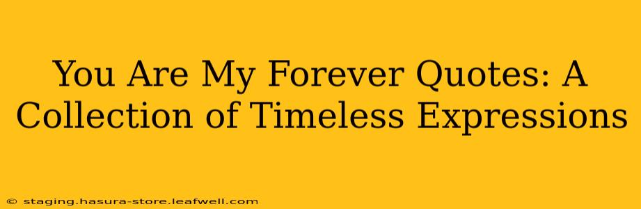 You Are My Forever Quotes: A Collection of Timeless Expressions