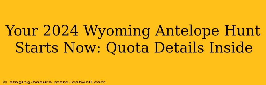 Your 2024 Wyoming Antelope Hunt Starts Now: Quota Details Inside